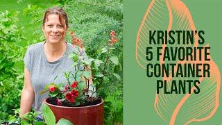 🪴 Kristin's 5 Favorite Container Plants! 🪴