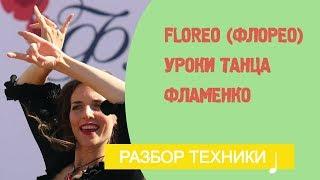 Уроки фламенко танца. Floreo (Флорео)