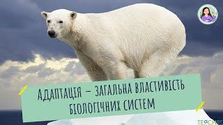 Адаптація як загальна властивість біологічних систем