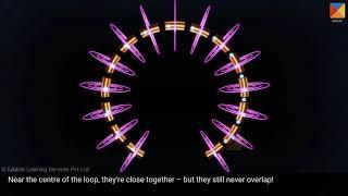 Magnetic field around a current-carrying loop and a solenoid
