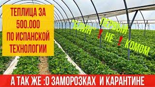 Супер- теплица для клубники за 500.000 по испанской технологии