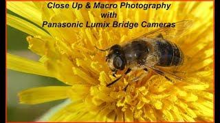 Panasonic Bridge Cameras - Basic Photography Part 4, Close Up & Macro