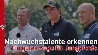 Die besten Nachwuchspferde finden und erkennen  Andi Kreuzer und Holger Wulschner klären auf!