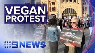 Coordinated animal rights protest across three states | Nine News Australia