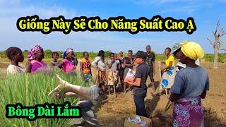 Quang Dũng || Người Dân Hai Bản Bamba Tích Cực Xuống Giống Mùa Đầu Từ Những Hạt Giống Từ NHT Tặng .