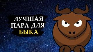 Совместимость знака БЫК - лучшая пара