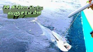 30 கிலோ பெரிய வஞ்சரம் மீன் பிடிச்சிட்டோம் மக்களே (kk jacksparrow fishing)