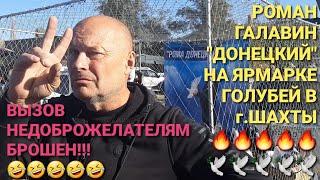  Вызов недоброжелателям брошен!!! Роман Галавин "Донецкий" на ярмарке голубей в г.Шахты. Pigeon