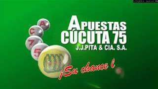 Sorteo El Motilon noche 31 de Enero de 2019