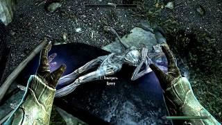 Skyrim Выживание Развалины, Логово Сольюнда, Старый хролдан Серия 55