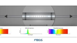 FBG Sensor Principle