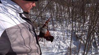 ПРОВЕРКА ЗАПРЕЩЁННЫХ ПЕТЕЛЬ. ВОТ КАК ОНИ ЛОВЯТ...