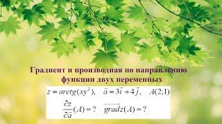 10. ФНП. Градиент и производная по направлению функции двух переменных.