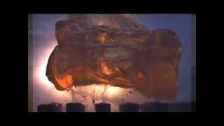 7mm Remington Magnum Barnes 140gr Tipped TSX slow motion ballistic gelatin