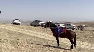 DEHQONOBOD DARXONDA KO’PKARI BOSHLANDI 16.09.2022 YIL