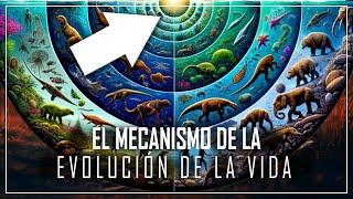 La increíble historia del mecanismo del origen de la evolución de la vida | DOCUMENTAL 2024