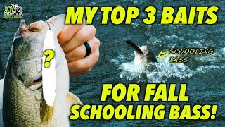 My TOP 3 Baits for Fall Schooling Bass!