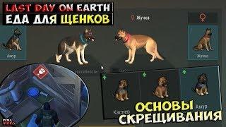 ГДЕ НАЙТИ ЩЕНКА СКРЕЩИВАНИЕ СОБАК Last Day on Earth Survival