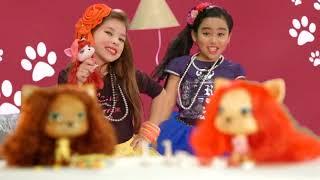 Zippy Toys   Vip Pets