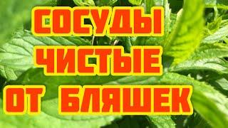 СОСЕДКА, 70 лет, Каждое Утро ПЬЕТ ЭТО! Запора НЕТ Давление 120/80, Крепкое СЕРДЦЕ и Сосуды!