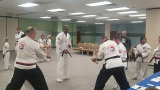 Mission Martial Arts - - Marley - - 2nd Permanent Brown Board Break