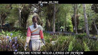 Skyrim SE/AE - EXTREME VIEW: Wild Lands of Skyrim (TKV6 ENB/ Ray Tracing GI / DynDOLOD 3.0)