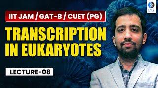 Transcription in Eukaryotes IIT JAM Biotechnology, GAT B & CUET PG 2026 | Best Lecture!