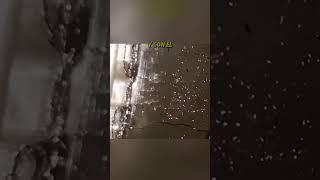 Problemas con los motores con correa húmeda