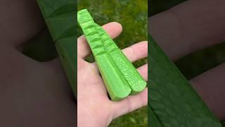 Четки - Наркоманки из джумы! от куда название?