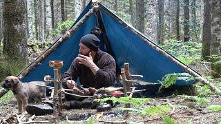 BUSHCRAFT: FIRST TIME WITH MY PUPPY BONNY IN THE FOREST COOKING OVER THE FIRE ETC.