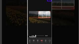 How To Crop Video Using FilmoraGo?