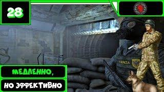 Метро 2033 ВК Прохождение с нуля (16 уровень) ● МЕДЛЕННО, НО ЭФФЕКТИВНО ● #28