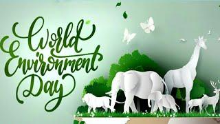 World Environment Day 2020 || Plant for the Planet || Gardening Everyday || Plantalogy