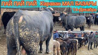 Караван Мал базары 14-Декабрь ЗОР БАЗАР БОЛДУ !!! Коруп Маза кылысыздар!!!!