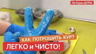 Потрошение птицы в домашних условиях легко и быстро. Лайфхак.