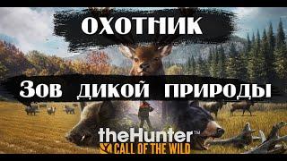 The hunter: Call of the wild. Идем по зову природы.