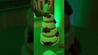 Aaron and Danielle’s wedding cake