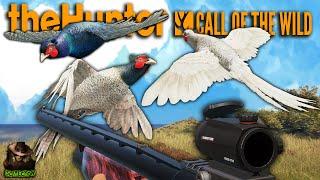 Hunting EVERY Rare Pheasant On Salzwiesen Park! (Albino, Leucistic, Melanistic) Call of the wild