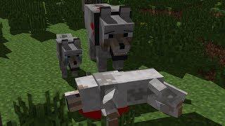 Wolf Life - Minecraft Animation