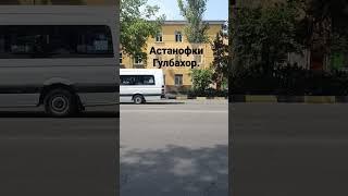 Гулбахор.