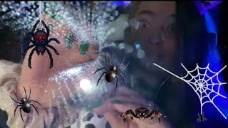 ASMR| 1 Hour Spider Web (Plucking, inaudible whispering, mouth sounds, visuals)