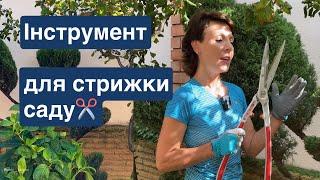 Як обрати садові ножиці ️КУЩОРІЗ ️САДОВИЙ Інструмент