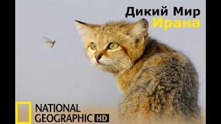 Дикий мир Ирана 2021 HD (Скрытый Мир) National Geographic