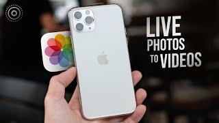 How to Make Live Photos into Videos on iPhone (tutorial)