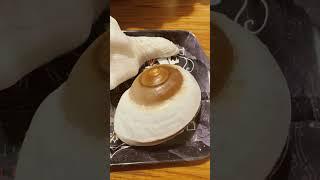 Sea Shells #seashell #ytshorts #viralvideo #amazing #fantastic #yt #viral