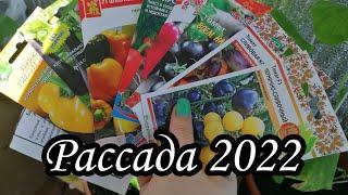 Рассада перца и баклажан. Обзор сортов. #огородкруглыйгод #огороднабалконе #огороднаокне #рассада