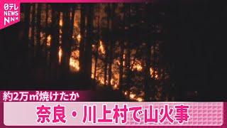 【奈良・川上村で山火事】約2万㎡焼けたか