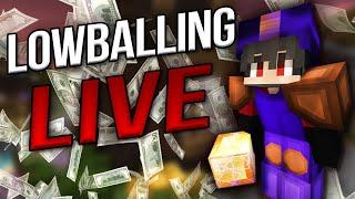  Maximizing Profits (lowballing) | Hypixel Skyblocks