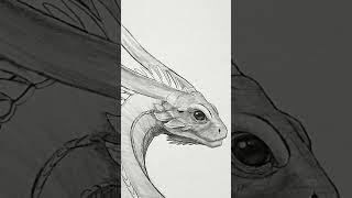 Exploring the Noble species of dragon..#fantasy #shorts #dragons #dnd #dragonart