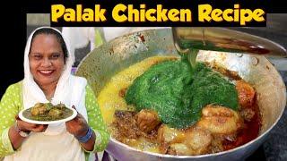 Palak Chicken Recipe | Palak Chicken Gravy | How To Make Palak Chicken | Street Food Zaika